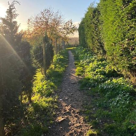 Chester'S Retreat Belton with Browston Ngoại thất bức ảnh