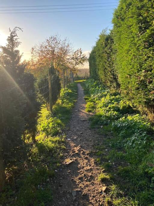 Chester'S Retreat Belton with Browston Ngoại thất bức ảnh
